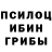 Галлюциногенные грибы прущие грибы Inst: mnsnikita