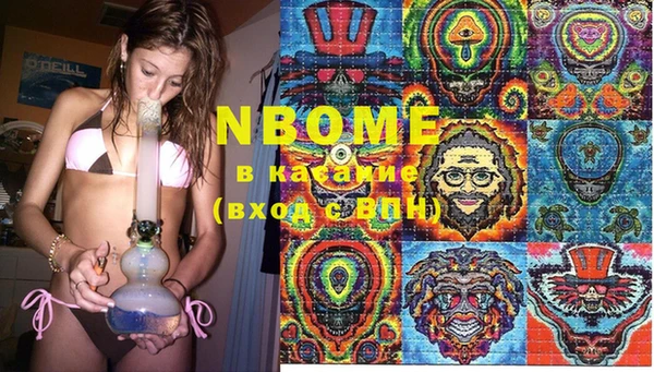 крисы Балахна