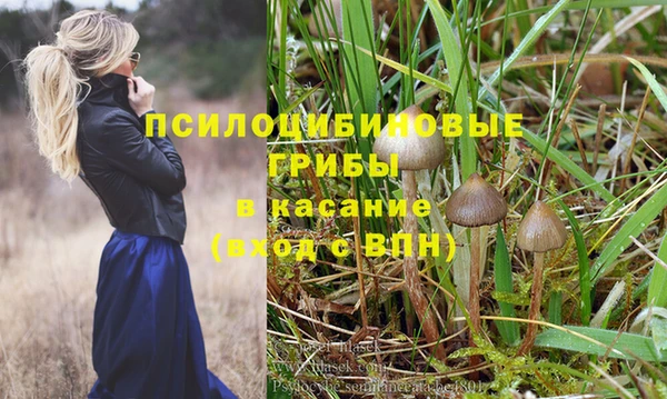 крисы Армянск