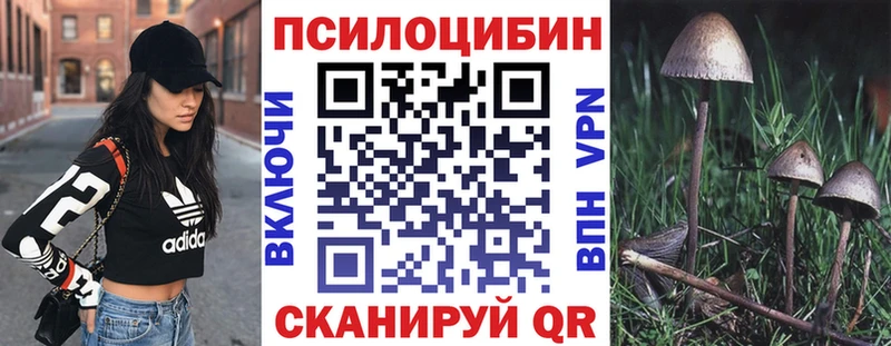 Галлюциногенные грибы MAGIC MUSHROOMS  Губаха 